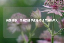 美国债市：国债回吐早盘涨幅 全天波动不大