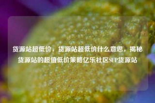 货源站超低价，货源站超低价什么意思，揭秘货源站的超值低价策略亿乐社区SUP货源站
