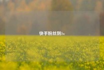 快手粉丝到1w