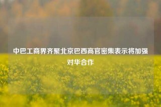 中巴工商界齐聚北京巴西高官密集表示将加强对华合作