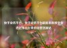 快手业务平台，快手业务平台赋能未来数字生态亿乐社区低价自营货源站