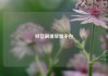 抖音刷播放量平台