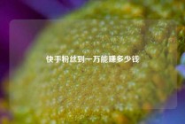 快手粉丝到一万能赚多少钱