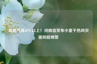 局地气温40℃以上！河南省发布小麦干热风灾害风险预警