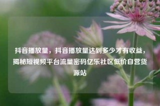 抖音播放量，抖音播放量达到多少才有收益，揭秘短视频平台流量密码亿乐社区低价自营货源站