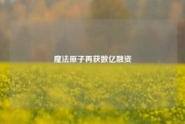 魔法原子再获数亿融资