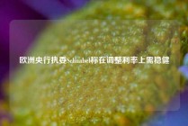 欧洲央行执委Schnabel称在调整利率上需稳健