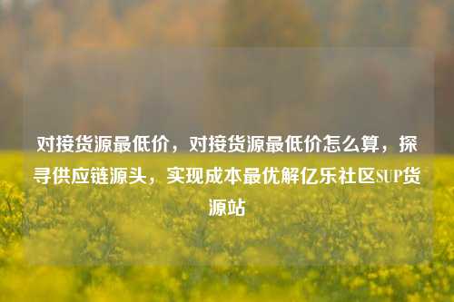 对接货源最低价	，对接货源最低价怎么算，探寻供应链源头，实现成本最优解亿乐社区SUP货源站  第1张