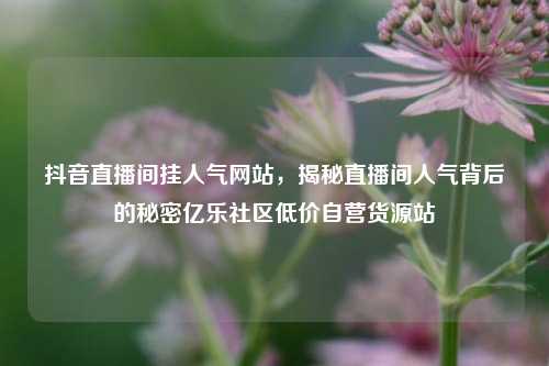 抖音直播间挂人气网站，揭秘直播间人气背后的秘密亿乐社区低价自营货源站  第1张