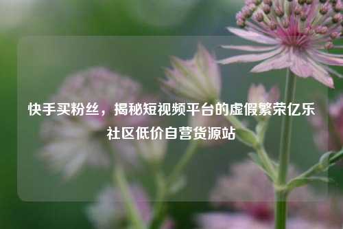快手买粉丝，揭秘短视频平台的虚假繁荣亿乐社区低价自营货源站  第1张