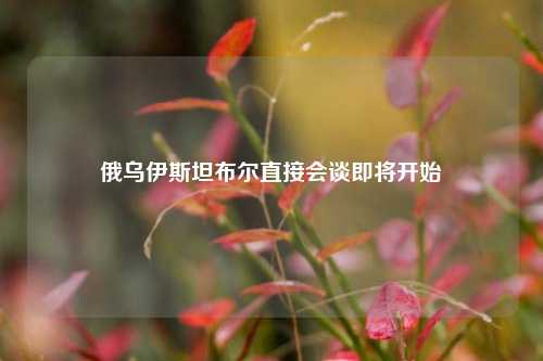 俄乌伊斯坦布尔直接会谈即将开始  第1张