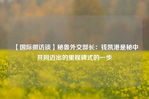 【国际微访谈】秘鲁外交部长：钱凯港是秘中共同迈出的里程碑式的一步  第1张