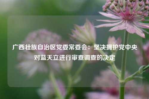 广西壮族自治区党委常委会：坚决拥护党中央对蓝天立进行审查调查的决定  第1张