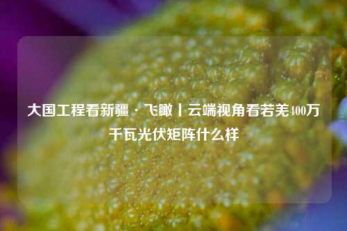大国工程看新疆·飞瞰丨云端视角看若羌400万千瓦光伏矩阵什么样  第1张