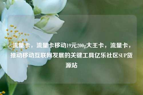 流量卡	，流量卡移动19元200g大王卡，流量卡，推动移动互联网发展的关键工具亿乐社区SUP货源站  第1张