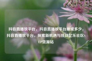 抖音直播放平台，抖音直播放平台抽成多少，抖音直播放平台，探索新机遇与挑战亿乐社区SUP货源站