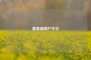 直客通商户平台