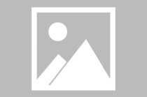 先正达单奕：把AI技术落实到农业生产一线，才能真正发挥AI的价值