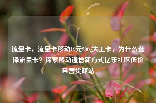 流量卡，流量卡移动19元200g大王卡，为什么选择流量卡？探索移动通信新方式亿乐社区低价自营货源站  第1张