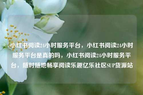 小红书阅读24小时服务平台，小红书阅读24小时服务平台是真的吗	，小红书阅读24小时服务平台，随时随地畅享阅读乐趣亿乐社区SUP货源站  第1张