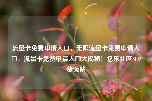 流量卡免费申请入口，无限流量卡免费申请入口	，流量卡免费申请入口大揭秘！亿乐社区SUP货源站  第1张
